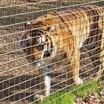 Adam woodburn - Instagram Profile Picture of Adam woodburn (@bandofbrothers1234) on Instagram