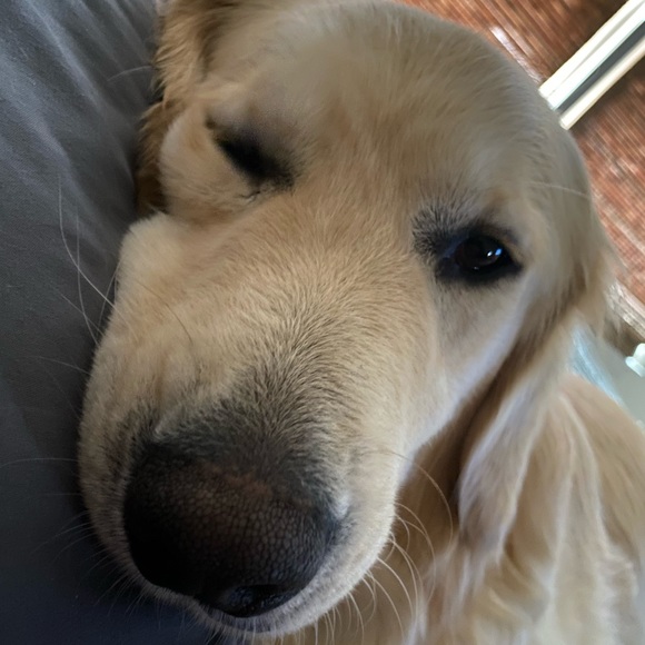 Profile Picture of Jacob Bieze (@jbieze51) on Poshmark