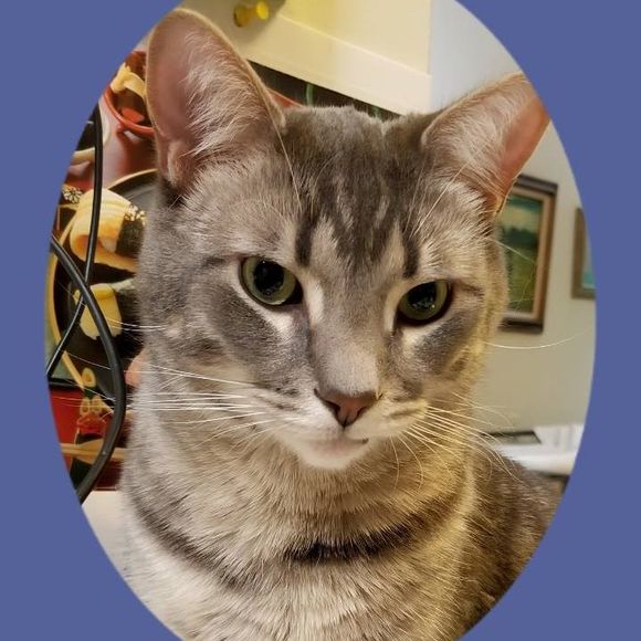 Profile Picture of Donna Craig (@theninesbest) on Poshmark