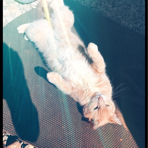 Profile Picture of Jacob Seaman (@jacob4254) on Poshmark