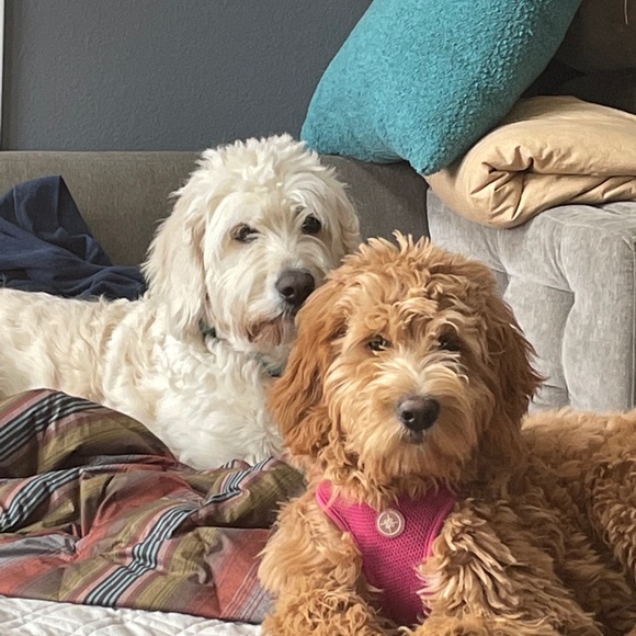 Profile Picture of Marney Crandall (@mrcran) on Poshmark