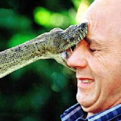 Profile Picture of Daniel Linde (@daniellinde4058) on Youtube