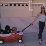 Profile Picture of Kim Stange-Herlihy (@freinds_of_the_alameda_animal_) on Instagram