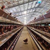 Profile Picture of George Mike (@George-Mike) on Youtube