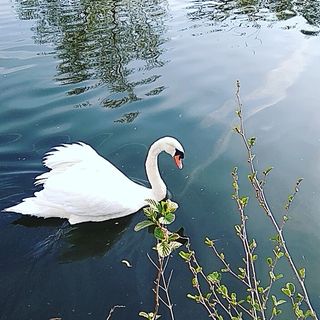 Profile Picture of Mario Caniglia (@mario.caniglia.948) on Facebook