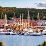 Profile Picture of Sylvia Knapp (@stellamare101) on Instagram