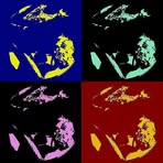 Profile Picture of Vagner Pedra (@vagner.pedra.71) on Facebook