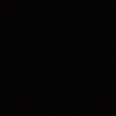 Profile Picture of Hayley C Smirl (@HayleySmirl) on Twitter