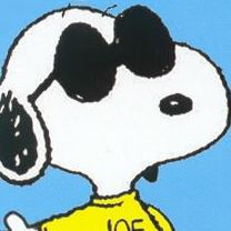 Profile Picture of Andrea Principi (@andrea.principi.39) on Facebook