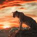 Profile Picture of James Colvert (Eso) (@james.colvert.58) on Facebook