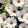 Profile Picture of Тамара Русскина (@tamararusskina) on Tiktok