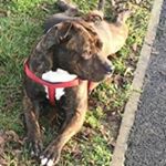 Profile Picture of Steven James Poulton (@steven.poulton3) on Instagram