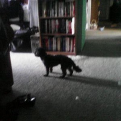 Profile Picture of Timothy St. Pierre (@timothyjstp) on Twitter