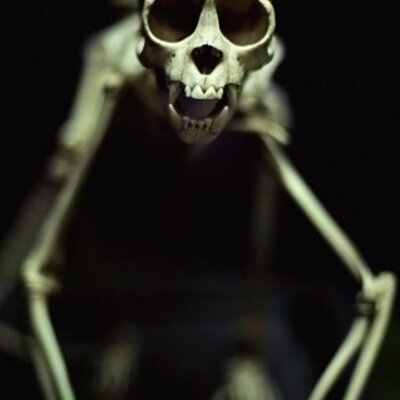 Profile Picture of Kenneth Fischer (@Monza101) on Twitter