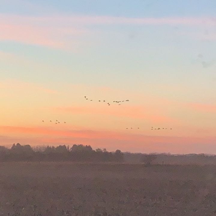 Profile Picture of bill.haus (@bill.haus) on Tiktok