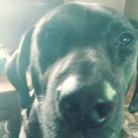 Profile Picture of Tori Gonzalez (@tori-gonzalez-7) on Quora