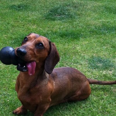 Profile Picture of Brian (@@brian_bussey) on Twitter