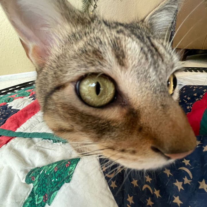 Profile Picture of Sebastian (@sebon18s) on Tiktok