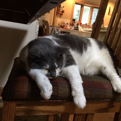 Profile Picture of Mary H. Kopp (@koppmaryh) on Twitter