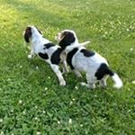 Profile Picture of Dawn Brunton (@d.n.brunton) on Instagram