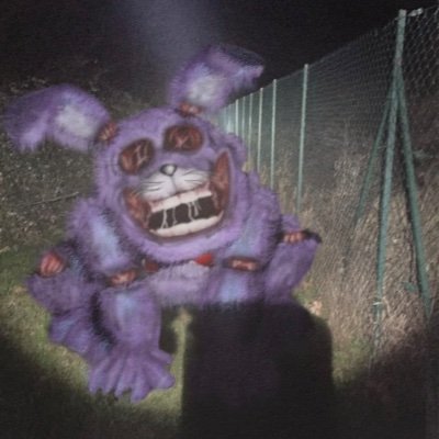 Profile Picture of Anthony Lalli (@AnthonyLalli10) on Twitter