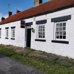 Profile Picture of Stephanie Bennett (@house.inthehamlet) on Instagram