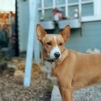 Profile Picture of Andrew Green (@andrew.green.618338) on Facebook