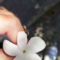 Profile Picture of Assil Assil (@assil-assil-2-1) on Quora