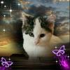 Profile Picture of lisakephart737 (@lisakephart737) on Tiktok