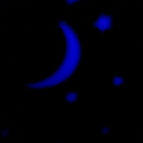 Profile Picture of Mairinta Schnaedter (@my2jem) on Poshmark