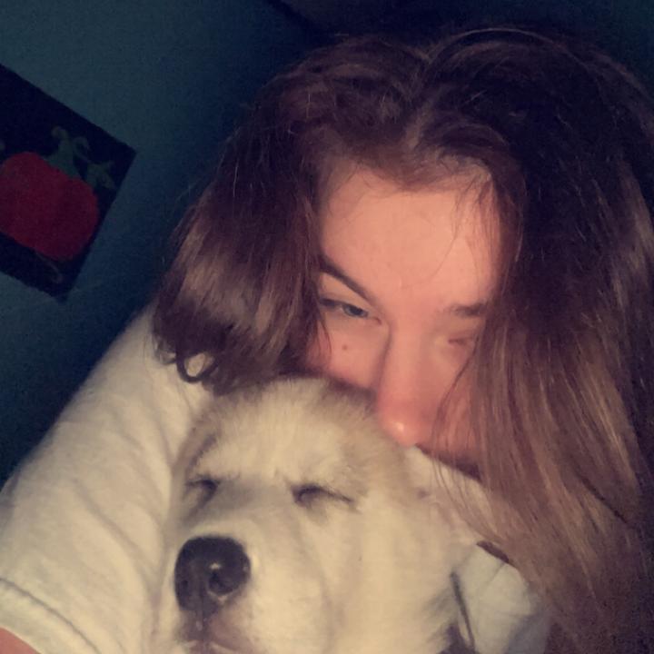 Profile Picture of hannah archer💛 (@hann.archer) on Tiktok