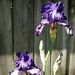 Profile Picture of Crystal Heisey Doll (@cheiseydoll) on Pinterest