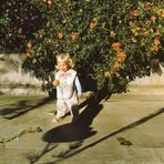 Profile Picture of Donna Minkiewicz (@Donna-Minkiewicz) on Facebook