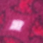 Profile Picture of Andrew Thanos (@Andrew-Thanos) on Facebook