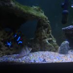 Profile Picture of Kenneth Greathouse (@kennethgreathouse) on Instagram