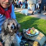 Profile Picture of Kenneth Nilsson (@kenneth.nilsson.182) on Instagram