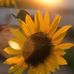 Profile Picture of CheyAnne Felts (@cheyanne.felts.3) on Facebook