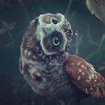 Profile Picture of Алиса Parker (@alice_parker_15) on Instagram