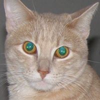 Profile Picture of Gary Wickham (@gary-wickham-10) on Quora