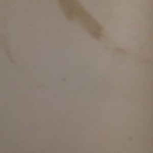 Profile Picture of Debby Clay (@dc555ca) on Myspace