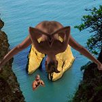 Profile Picture of cecelia weber (@cecelia5697ju) on Instagram