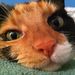 Profile Picture of Tamara Hahn (@tamaramastudios) on Pinterest