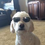 Profile Picture of Brent Johnston (@brent.johnston1) on Instagram