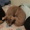 Profile Picture of Jose Frausto (@@josefrausto3) on Tiktok