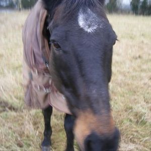 Profile Picture of Claire Denton (@claireydee) on Myspace