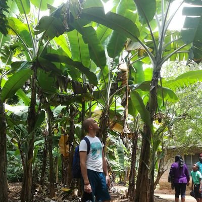 Profile Picture of MIlan Stevanovic (@MIlanSt51184199) on Twitter