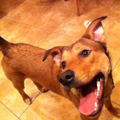 Christopher Rost - Twitter Profile Picture of Christopher Rost (@RostChristopher) on Twitter