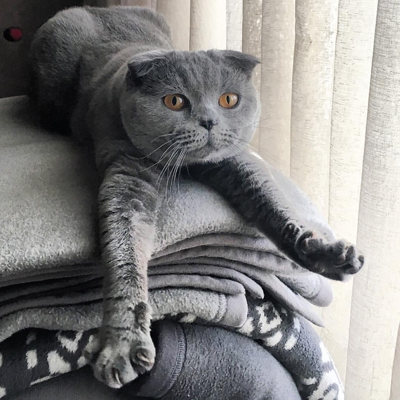 Profile Picture of Emanuela Valentinova (@emavalentinova) on Poshmark