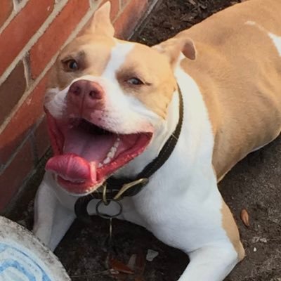 Profile Picture of Kj (@kevinjohndrow) on Twitter