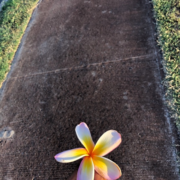 Profile Picture of Rene Rodriguez (@reneirzavala) on Poshmark